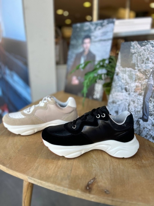 Фото Rinascimento