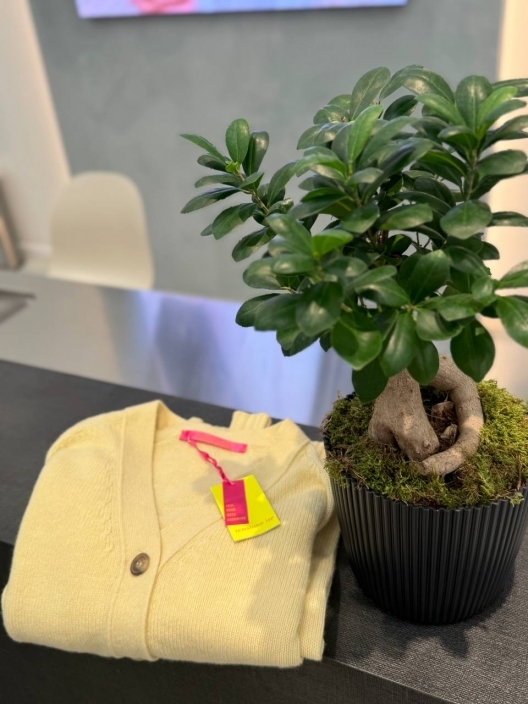 Фото Tensione in