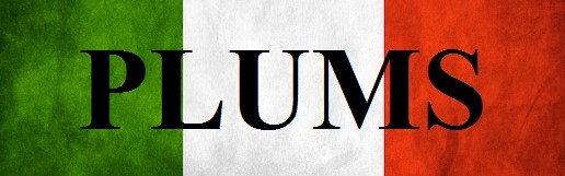 одежда бренда Plums